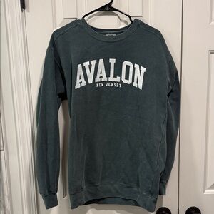 Avalon New Jersey Comfort Colors Dark Green Crewneck Sweater